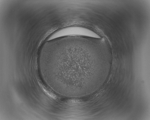 X0000078890250200611271400