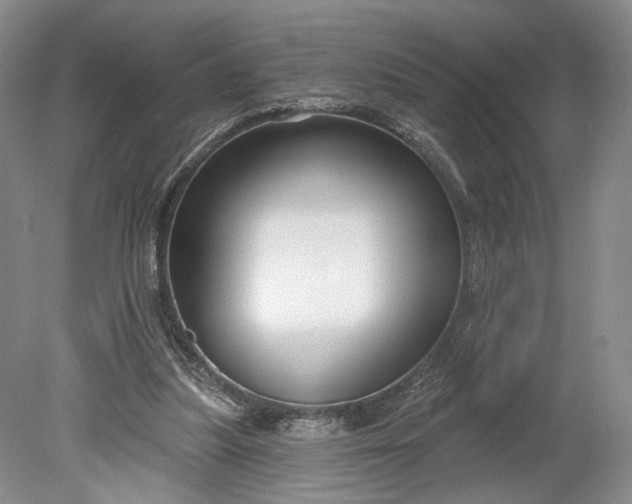 X0000078890251200611271400