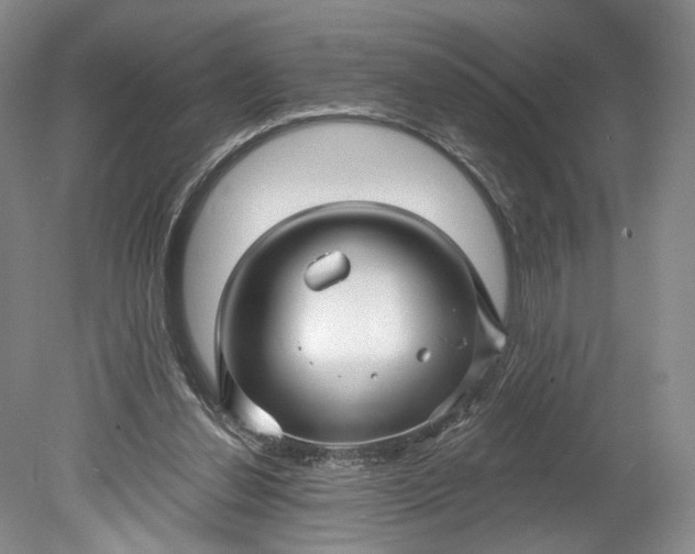 X0000078890252200611271400