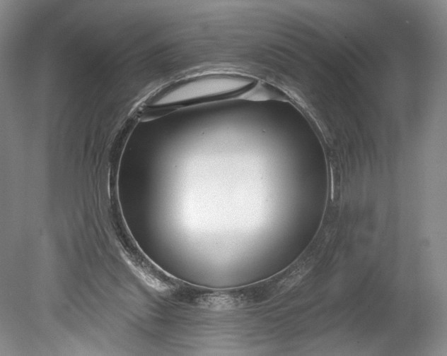 X0000078890253200611271400