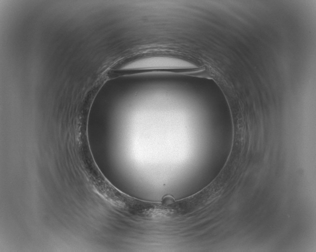 X0000078890255200611271400