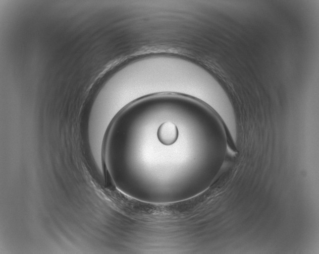 X0000078890256200611271400