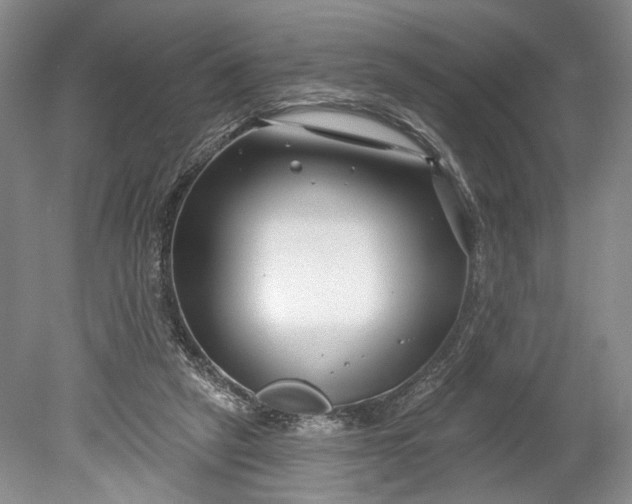 X0000078890257200611271400