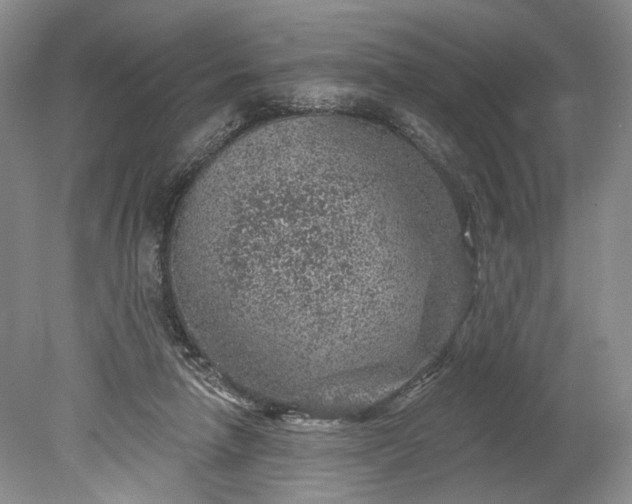 X0000078890258200611271400