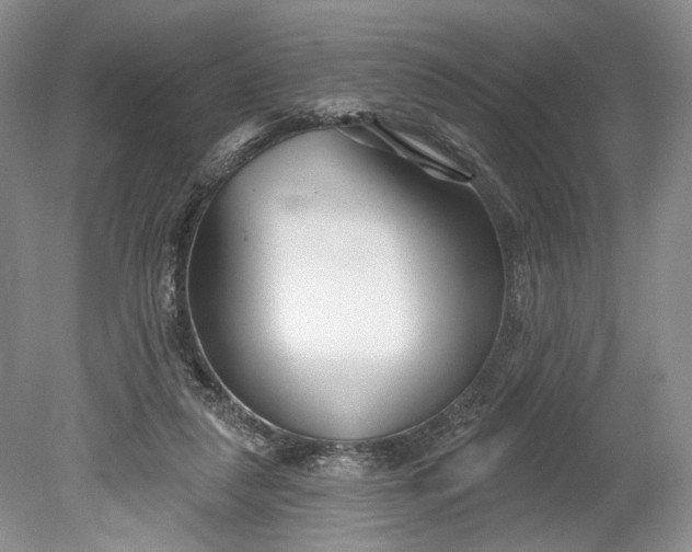 X0000078890259200611271400