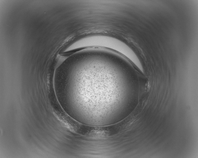 X0000078890260200611271400