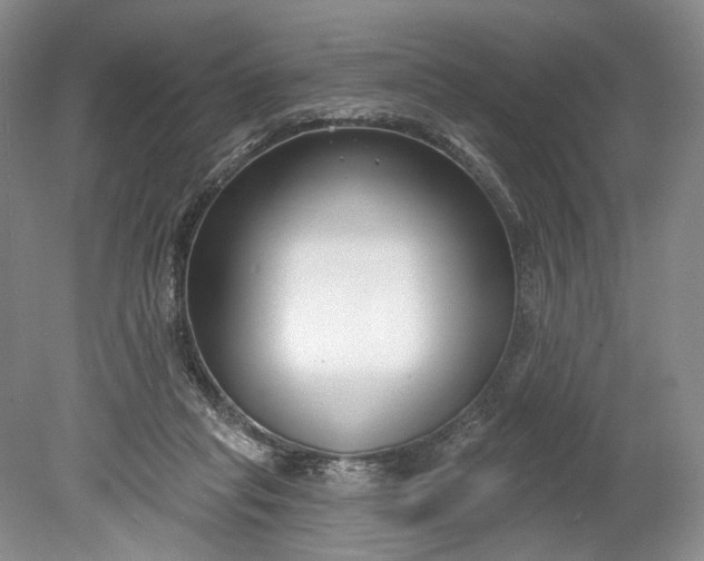 X0000078890261200611271400