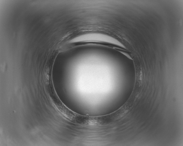 X0000078890264200611271400