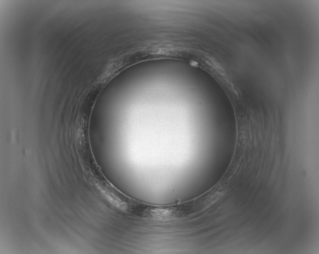 X0000078890265200611271400