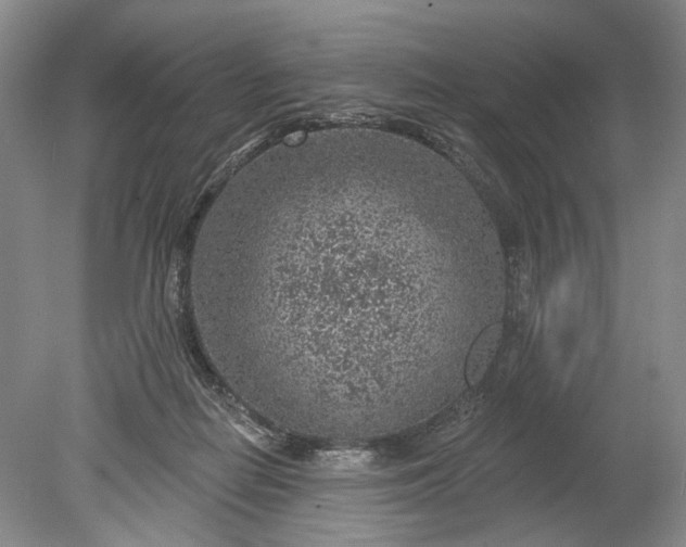 X0000078890266200611271400