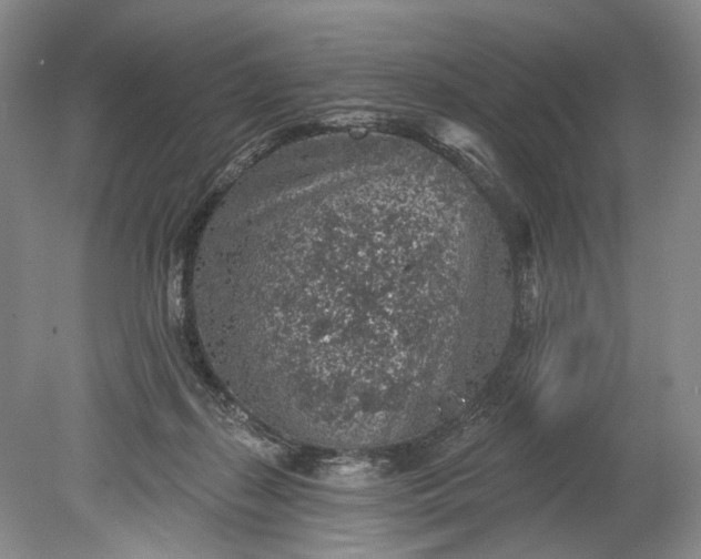 X0000078890267200611271400