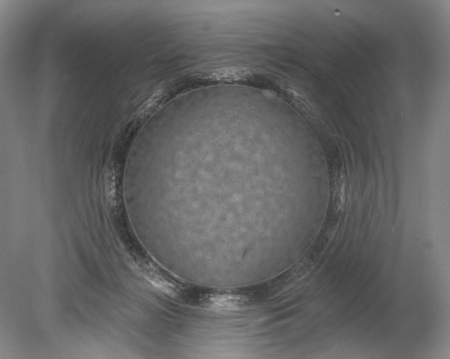 X0000078890268200611271400