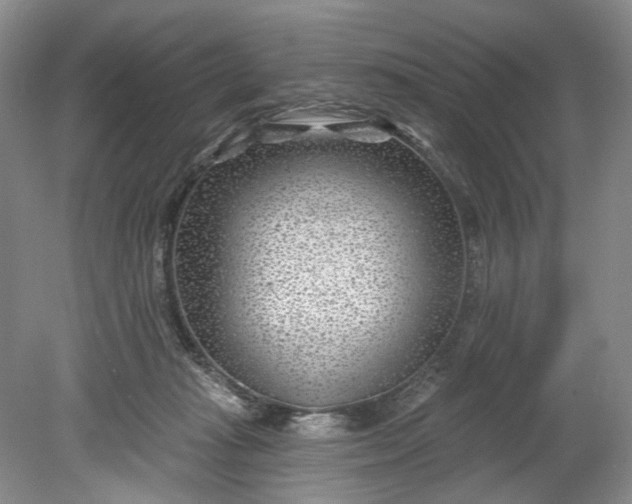 X0000078890269200611271400