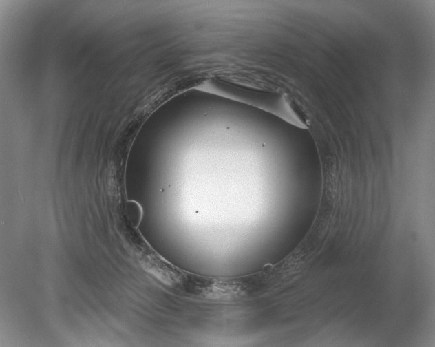 X0000078890270200611271400