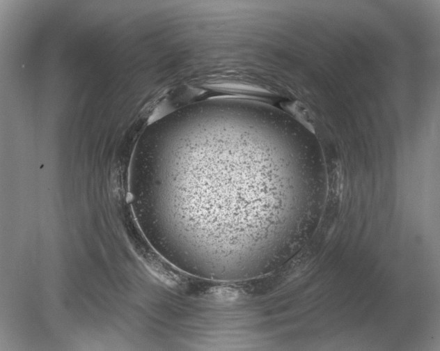 X0000078890272200611271400