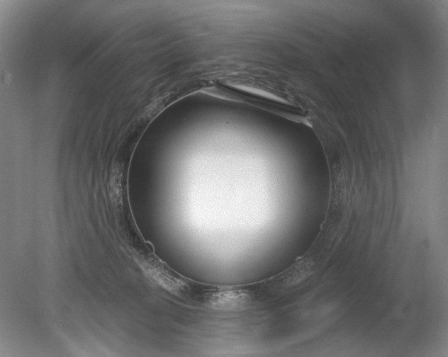 X0000078890274200611271400