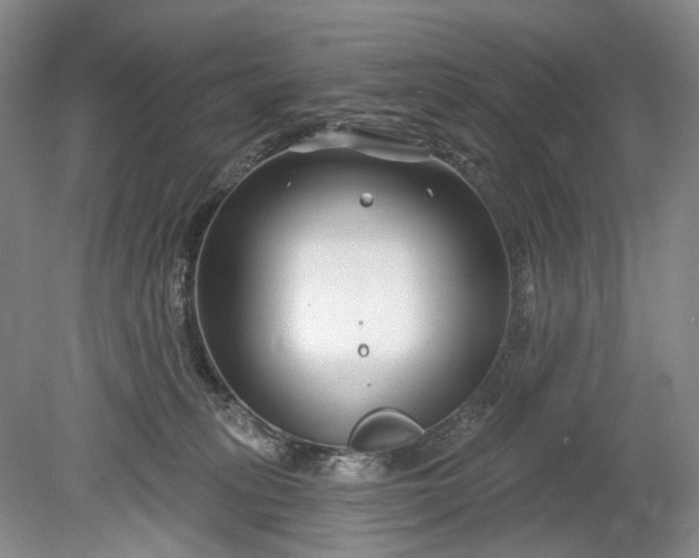 X0000078890275200611271400