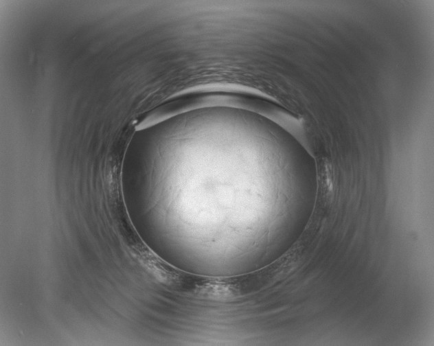 X0000078890276200611271400