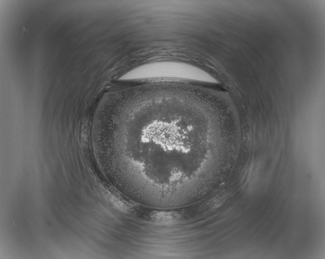 X0000078890277200611271400