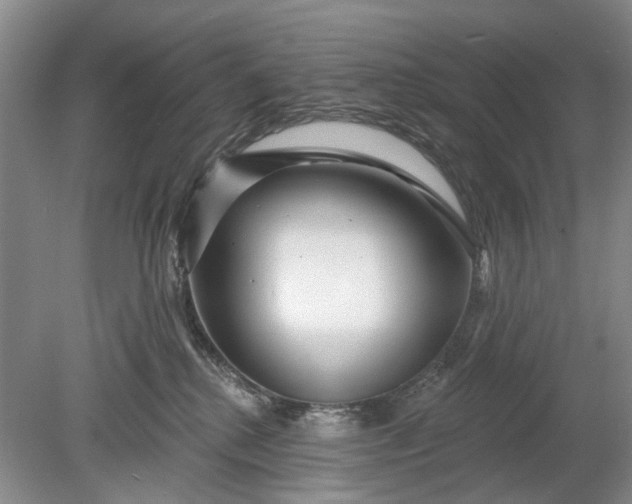 X0000078890280200611271400