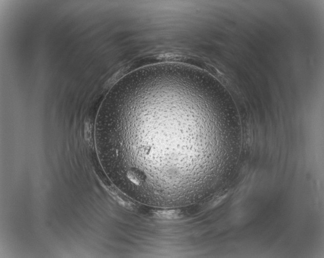 X0000078890281200611271400