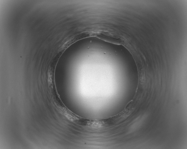 X0000078890282200611271400