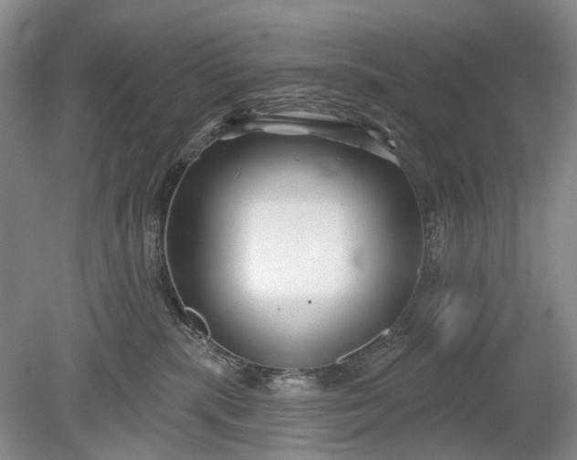 X0000078890283200611271400