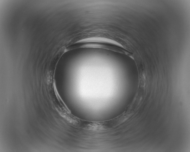 X0000078890284200611271400