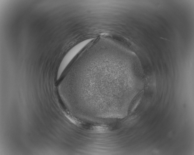 X0000078890286200611271400