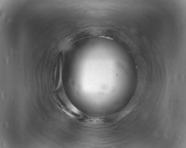 X0000078890288200611271401