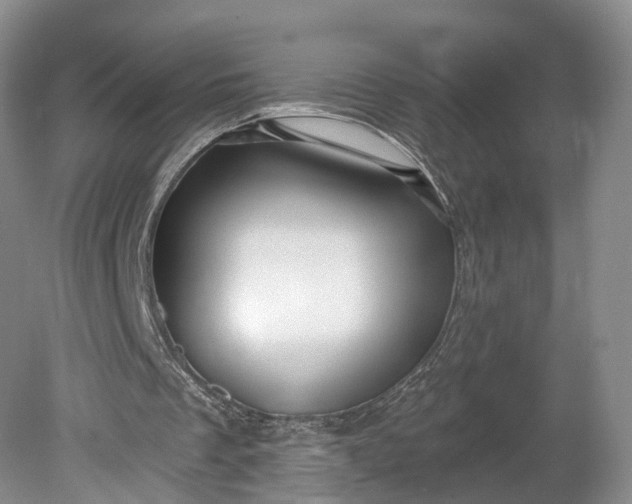 X0000078890289200611271400