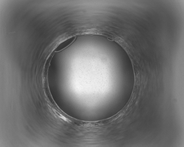 X0000078890290200611271400