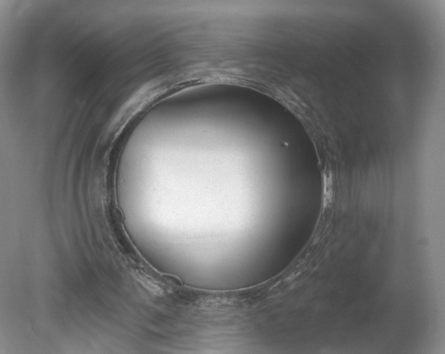 X0000078890291200611271400