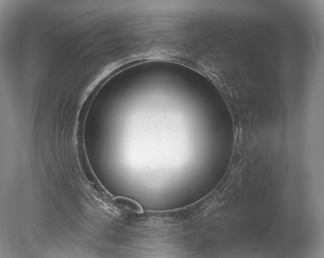 X0000078890292200611271400