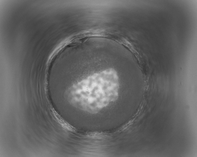 X0000078890293200611271400