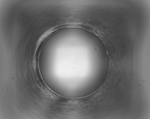 X0000078890294200611271400