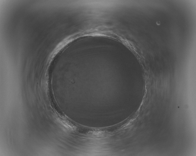 X0000078890295200611271400