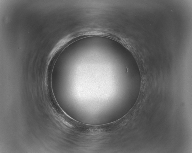 X0000078890296200611271400