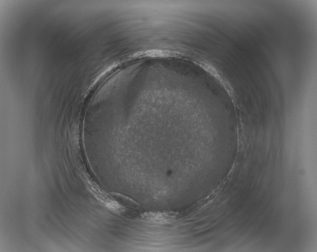 X0000078890297200611271400