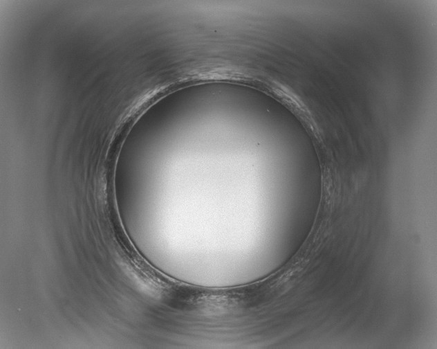 X0000078890298200611271400