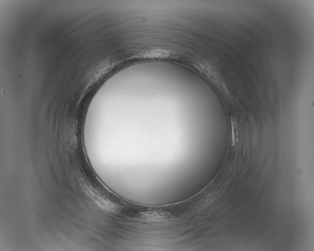 X0000078890300200611271400