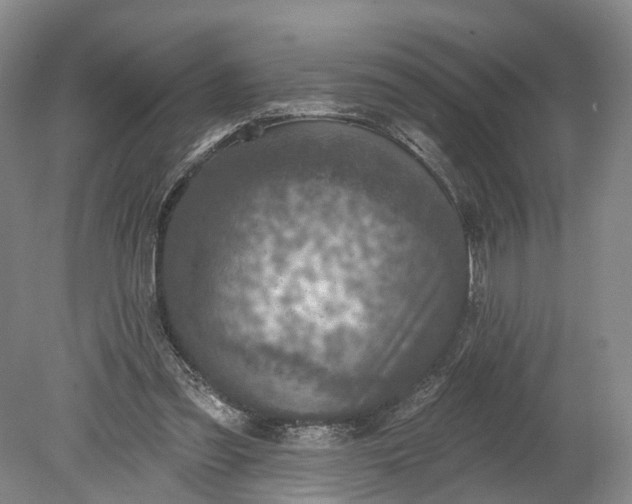 X0000078890301200611271359