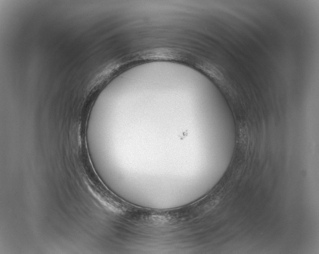 X0000078890302200611271359