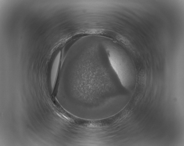 X0000078890303200611271359