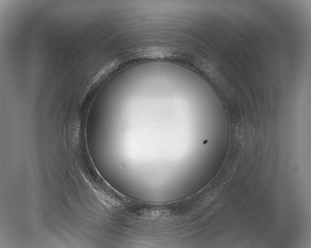 X0000078890304200611271359