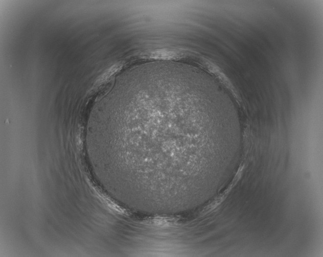 X0000078890305200611271359