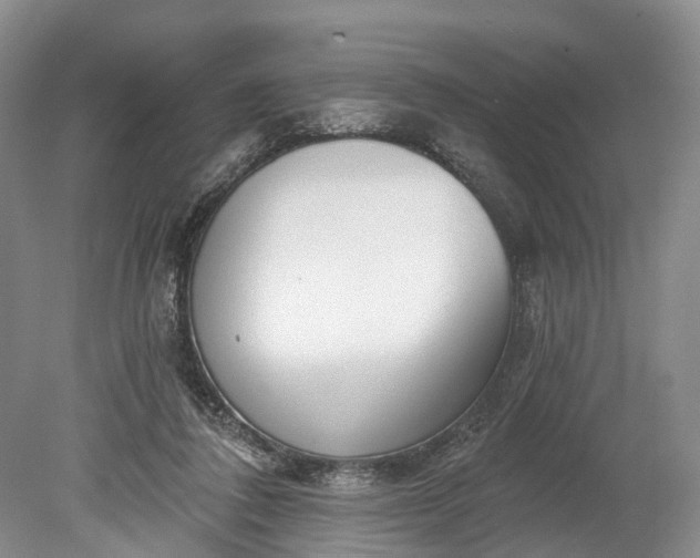 X0000078890308200611271359