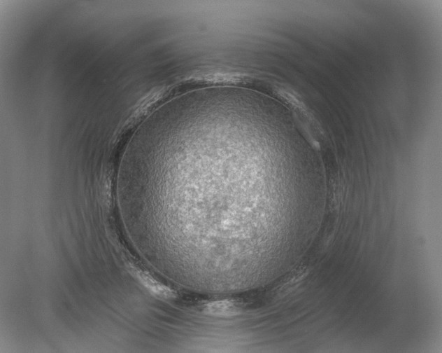 X0000078890309200611271359