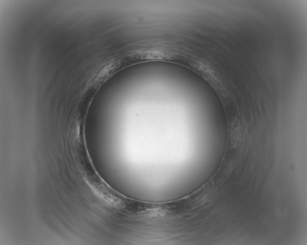 X0000078890310200611271359