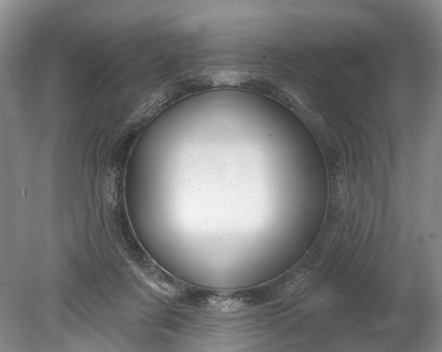 X0000078890311200611271359